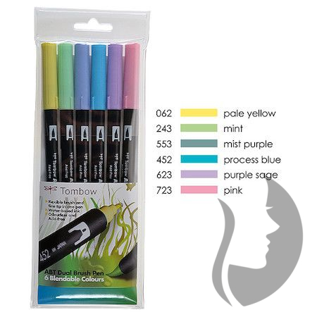 Pastels Dual Brush & Fine Pen Markers Set 6P-2 Tombow Dual Brush Pen Art  Markers Pro Art, Drawing, Coloring Set 