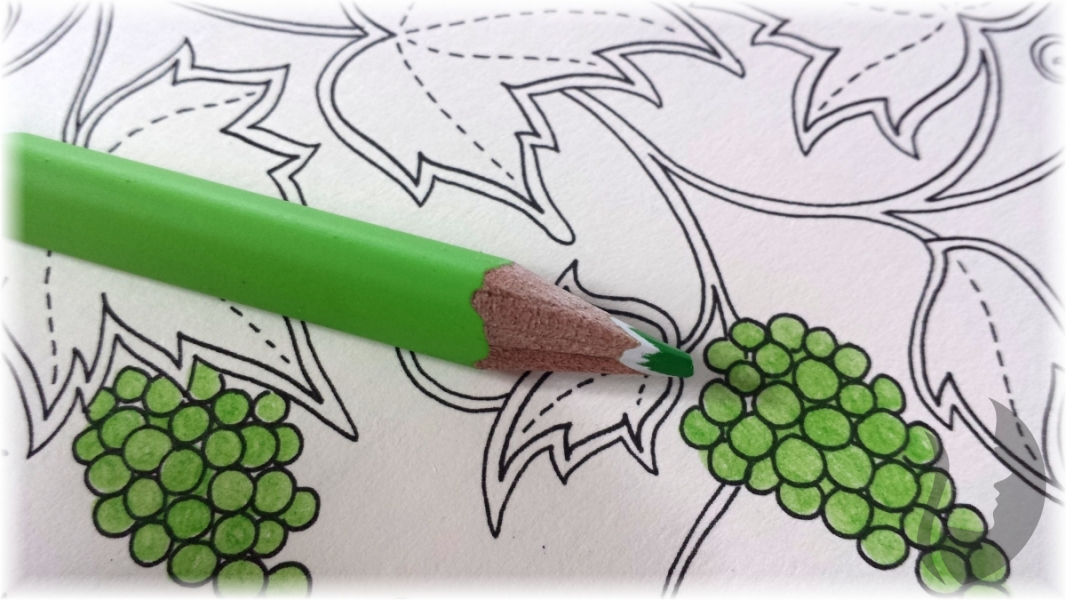 STAEDTLER Ergo Soft  trojhranná pastelka - různé barvy, barevný odstín VRBOVĚ ZELENÁ