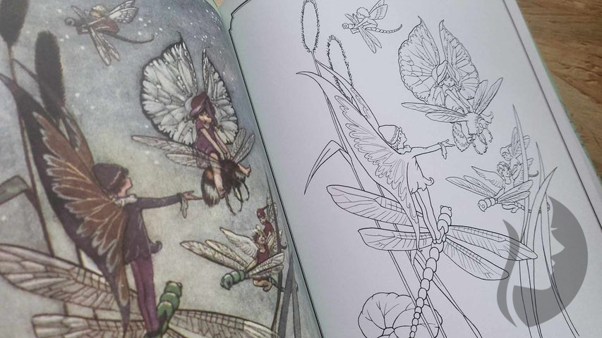 Zauberhafter Elfengarten Das Vintage-Ausmalbuch