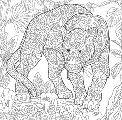 Ditipo Kreativ -  Mystical Colouring for Adult 