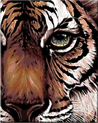 Malování podle čisel - Pohled tygra - 40 x 50 cm - obtížnost 3 (Střední)