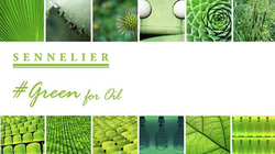 Sennelier Green for Oil - čistič štětců - 100 ml